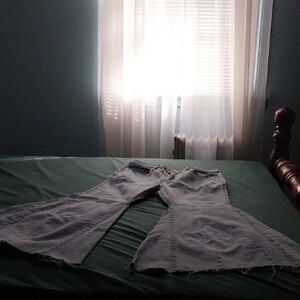 Torrid Festi Super Flare Jeans